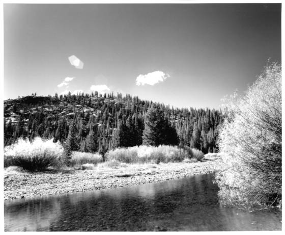 Reflected_light