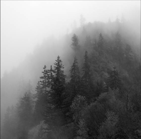 Mystic