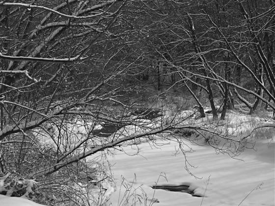 Rock_run_creek_in_winter_2