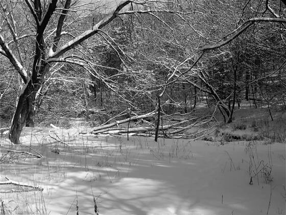 Rock_run_creek_in_winter_6