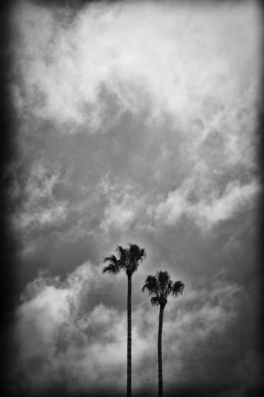 Untitled_1