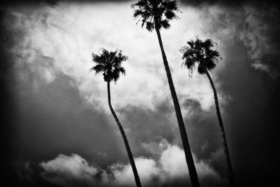 Untitled_2
