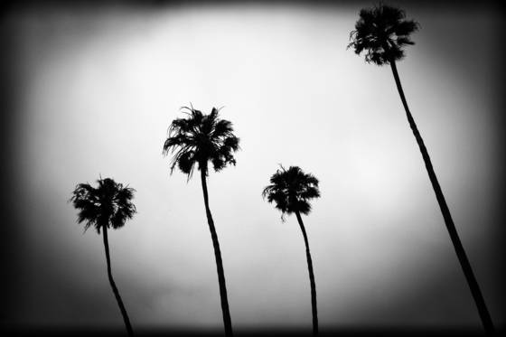 Untitled_3