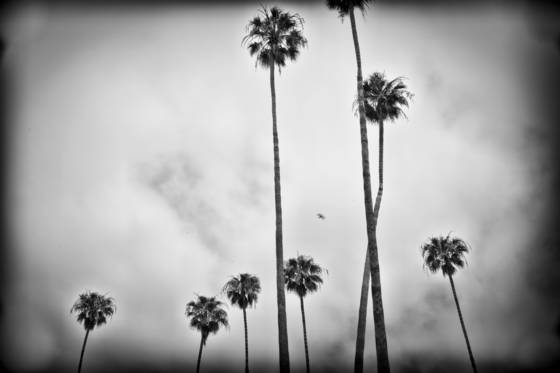 Untitled_4