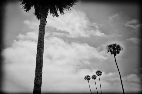 Untitled_5