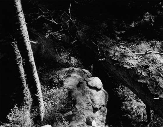 Sticks_and_stones_1
