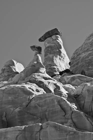 Sentinals_5
