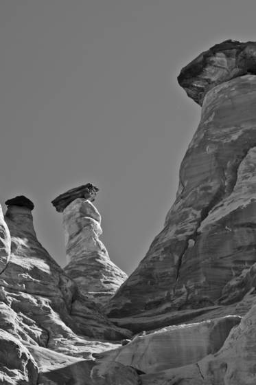 Sentinals_6