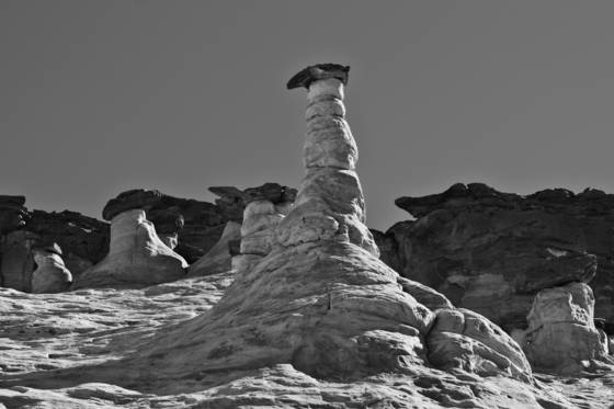 Sentinals_8