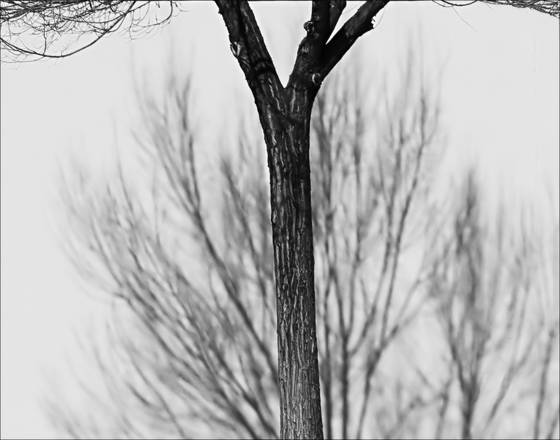 Naked_shadow
