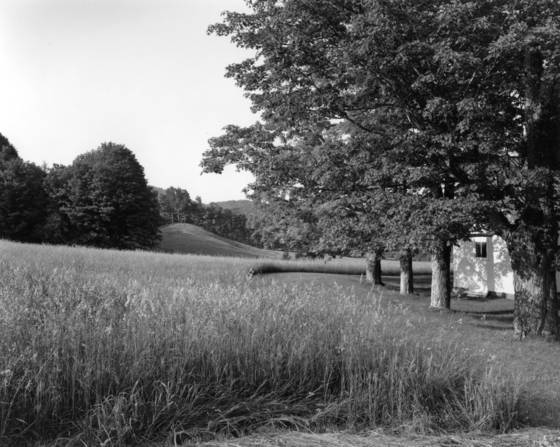 Untitled_1
