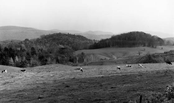 Untitled_3