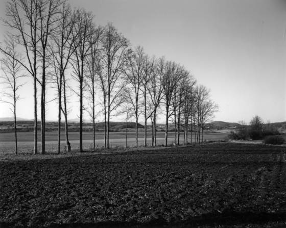 Untitled_4