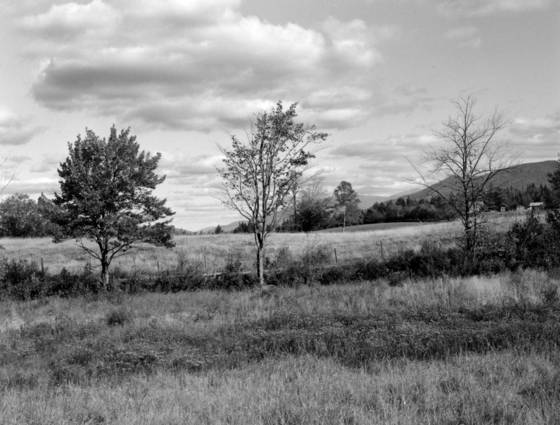 Untitled_5