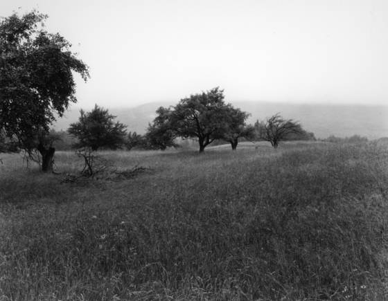 Untitled_6