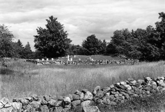Untitled_7