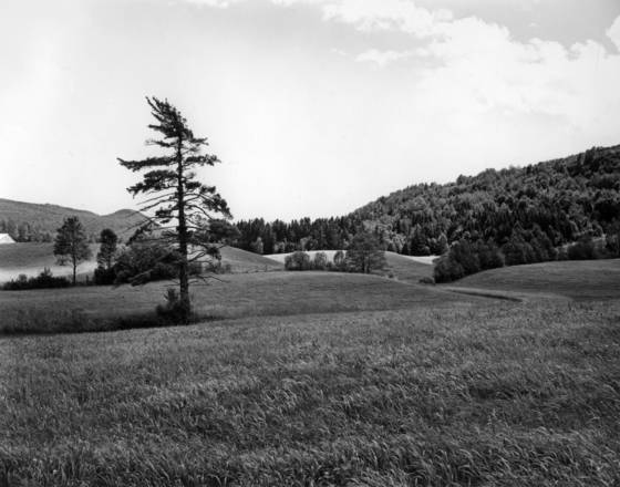 Untitled_8
