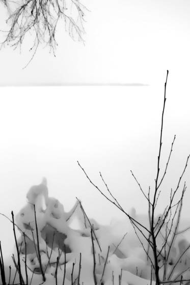Branches