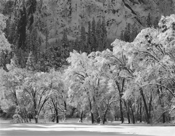 El_capitan_meadow_in_winter