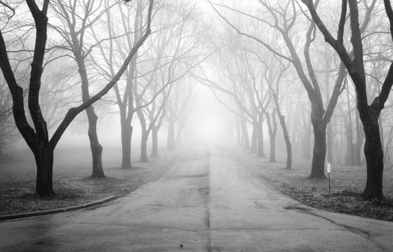 Fog_7