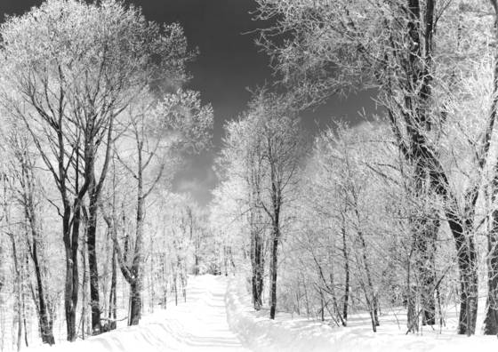 Winter_trails