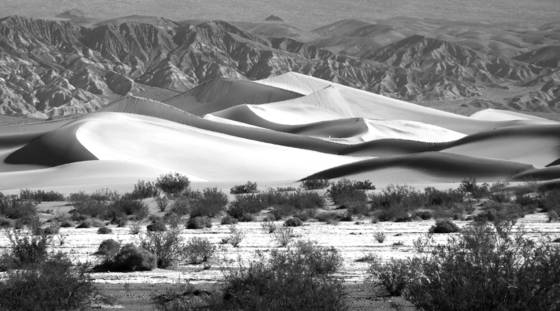 Desert_contrast