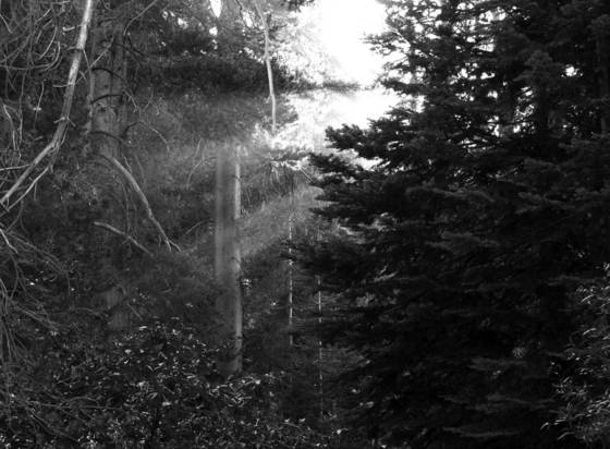 Sun_rays