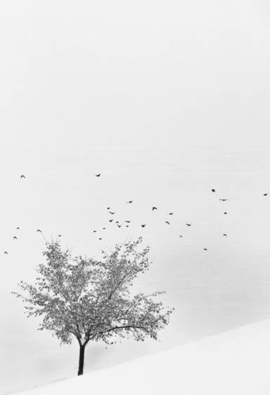 Late_departure