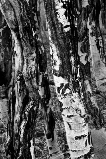 Untitled_2