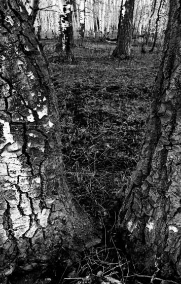 Untitled_6