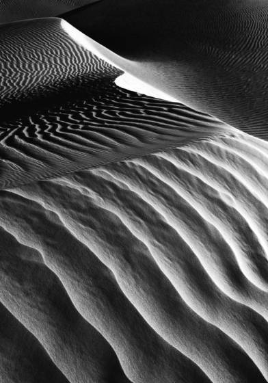 Dune__5