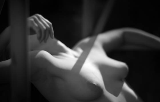 Daydream