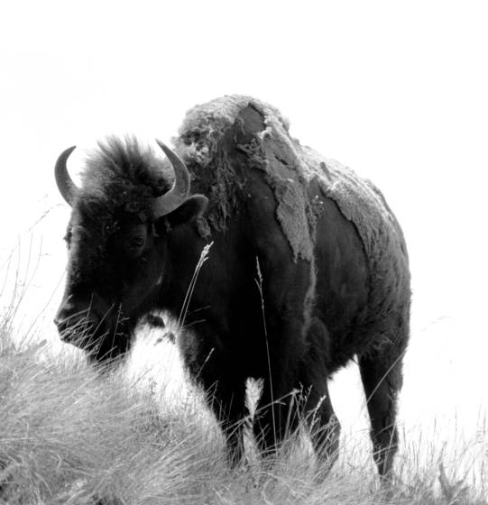 Untitled_2