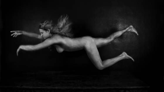 From_the_series_____margarita_s_flight__2