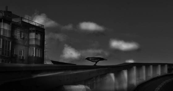 Untitled_3