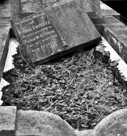 Cemetary__3