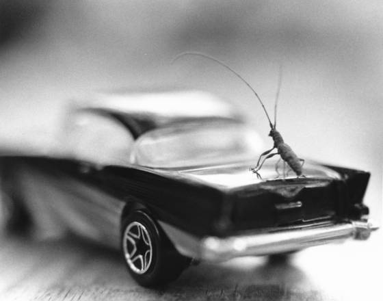 Bug_sedan