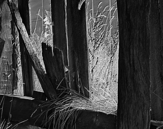 Barn_slats_1