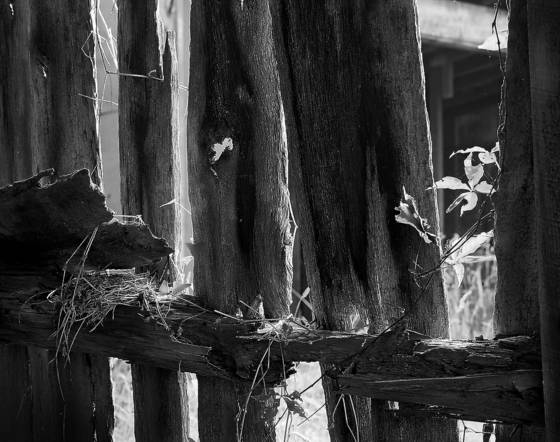 Barn_slats_2