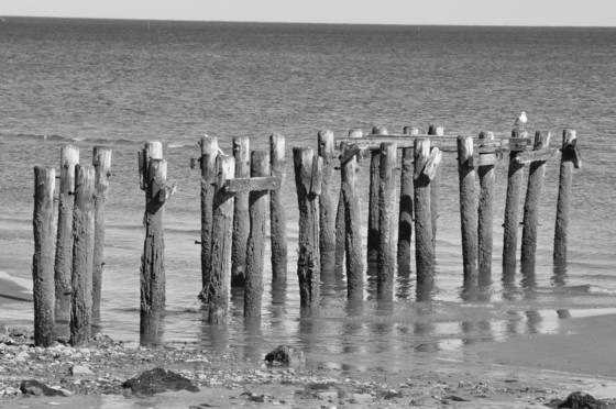 Old_pier_3