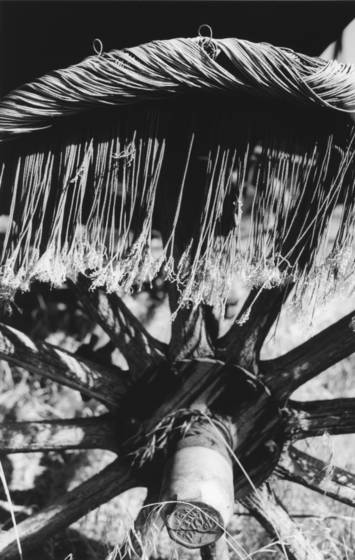 Untitled_14