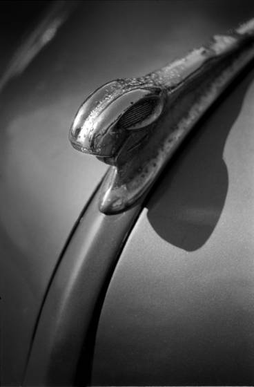 Pitted