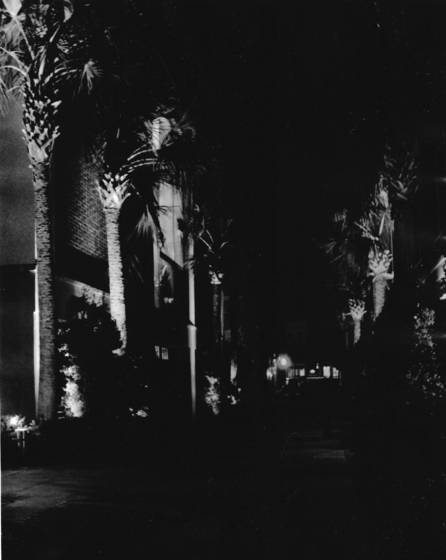 Night_shot