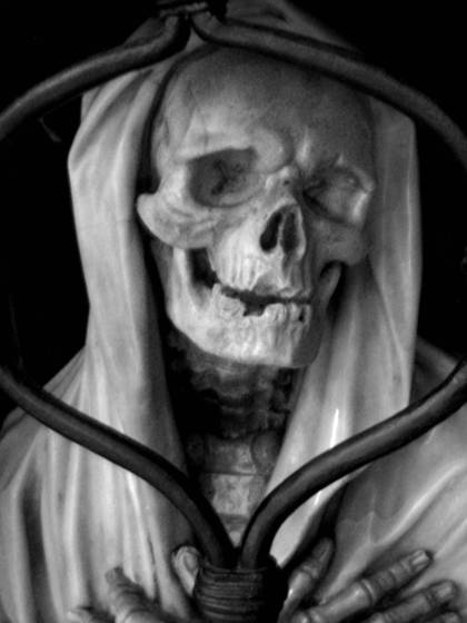 Skull