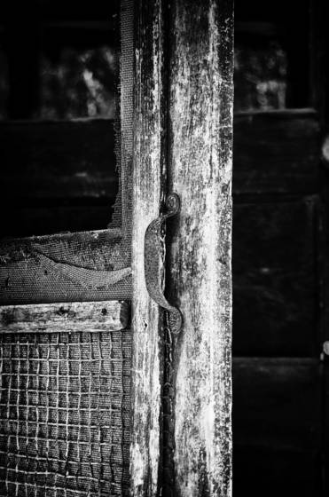 Screen_door