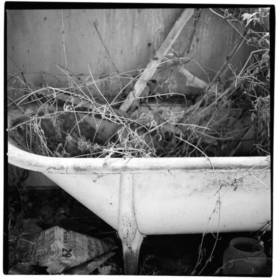 Man_and_nature__2