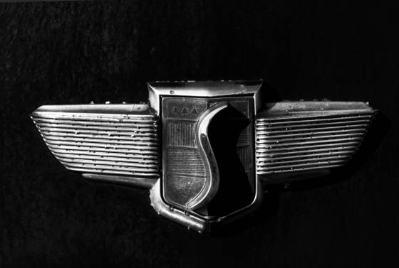 Untitled_11