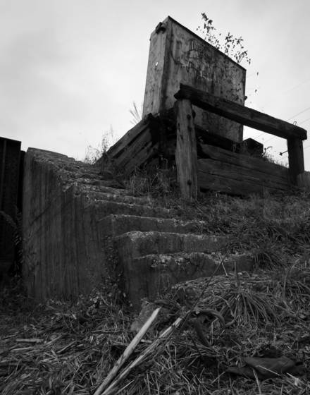 Swing_bridge_01