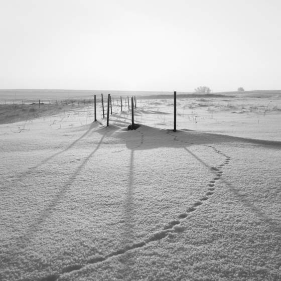 Winter_season_02