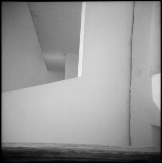 White_house